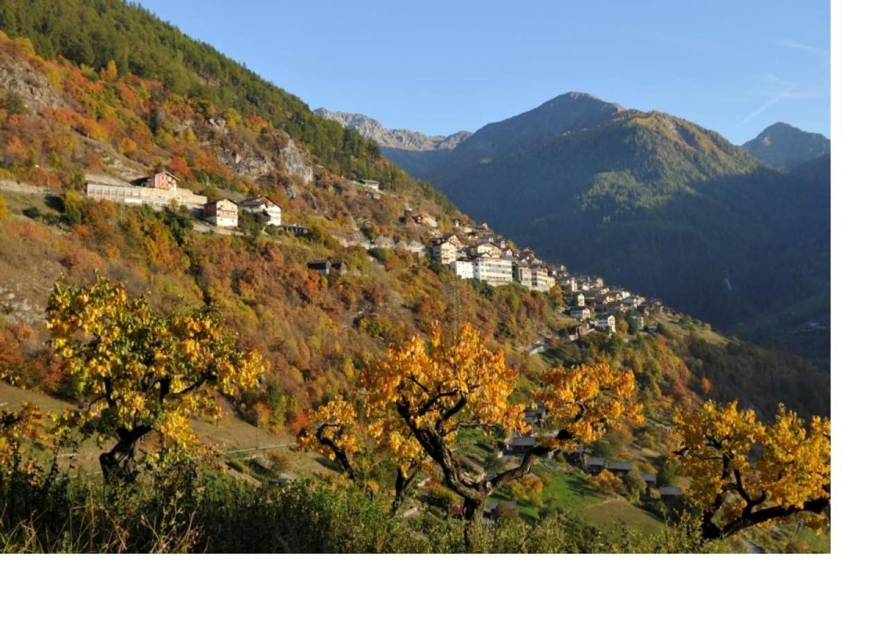 Le Cocon Du Catogne Proche Martigny Verbier - Netflix - Valettes Zewnętrze zdjęcie