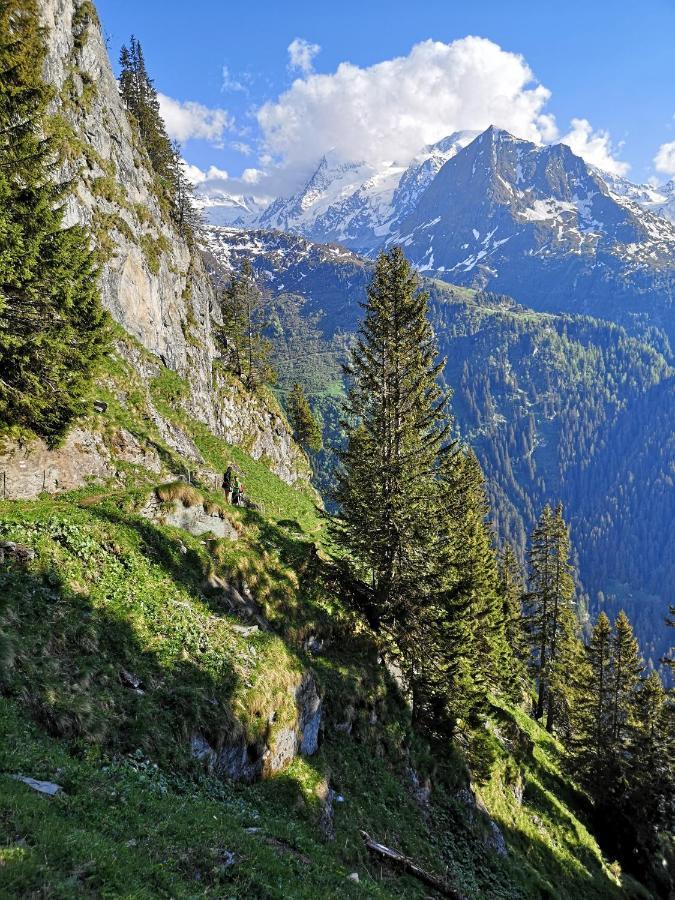 Le Cocon Du Catogne Proche Martigny Verbier - Netflix - Valettes Zewnętrze zdjęcie