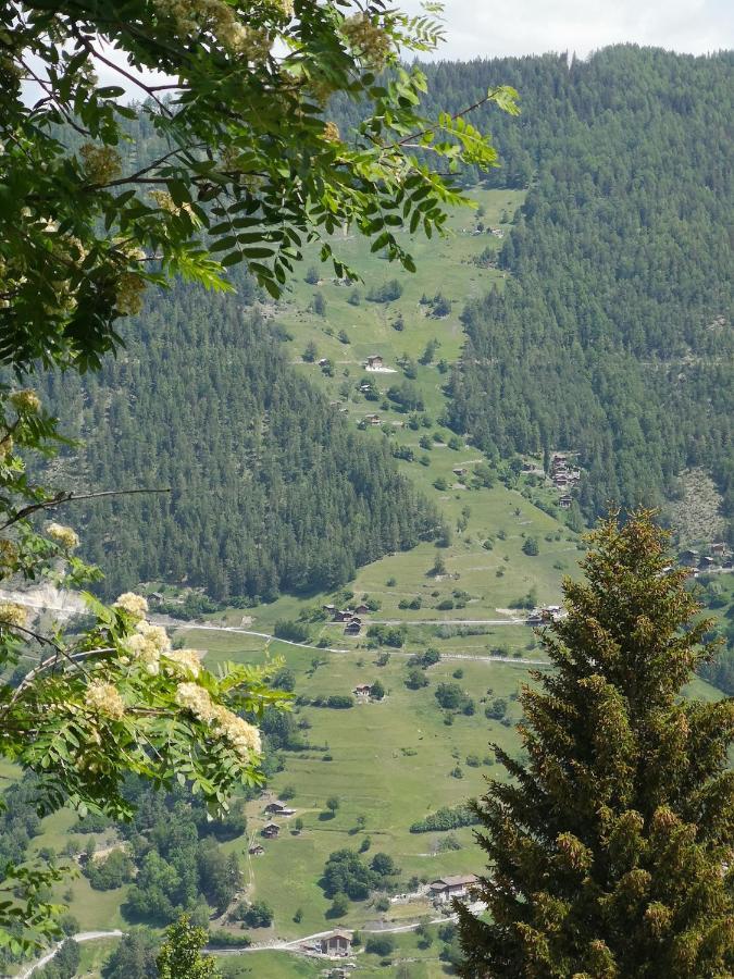 Le Cocon Du Catogne Proche Martigny Verbier - Netflix - Valettes Zewnętrze zdjęcie